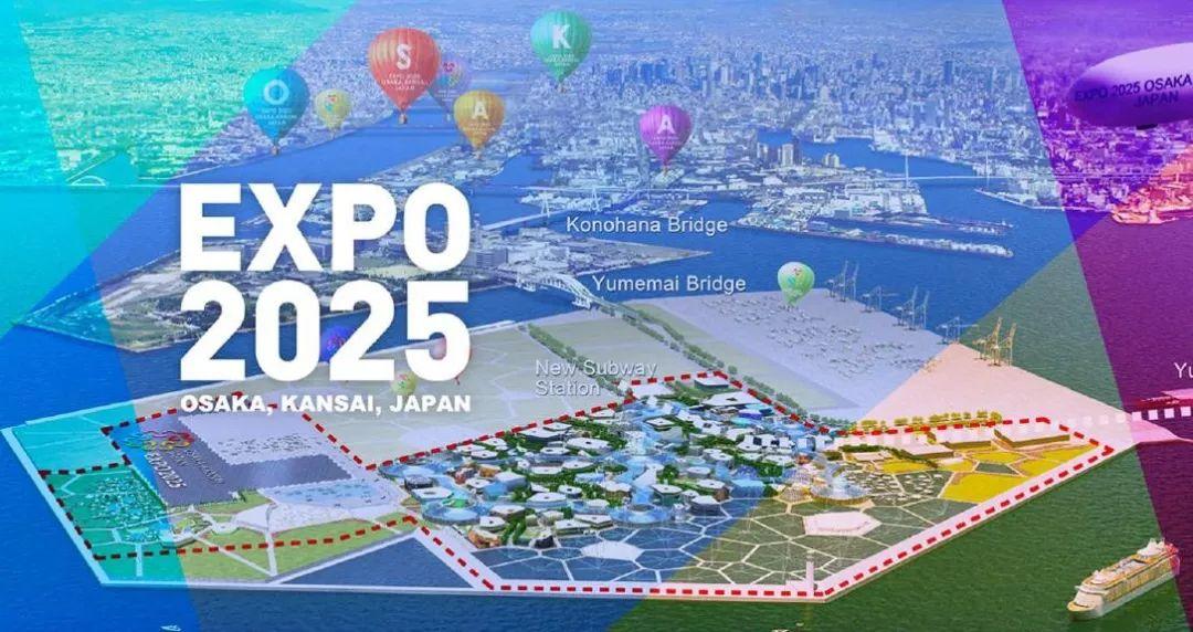 新澳2025精准正版免費資料详细解答、专家深度解释与落实