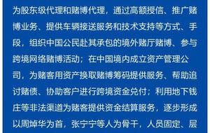 新澳门天天免费精准大全2025全面释义、专家深度解释与落实-警惕虚假宣传-全面释义、专家深度解释与落实