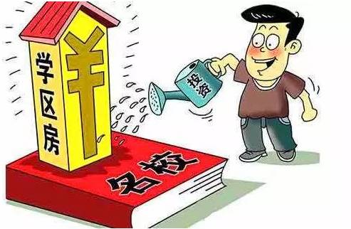 乡村振兴 第13页